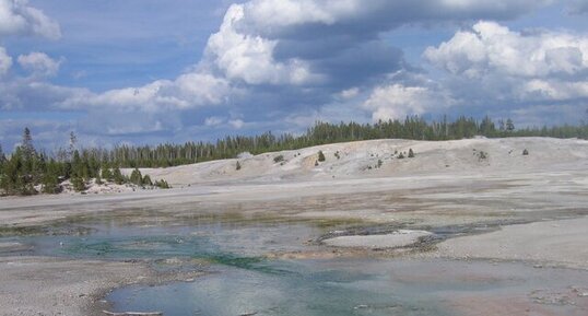 Bassins hydrothermaux de Norris, Yellowstone.