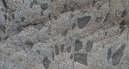 Enclaves basiques dans un Granite.