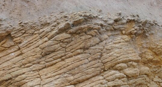 Stratification oblique dans les calcaires de Langrune, Lion-sur-Mer