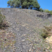 Corse - Osani - Anthracite