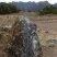 Bloc erratique gneissique proche de la laguna de Mucubaji