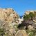 Corse - Campomoro - Canusellu - Granite Leucocrate