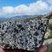 Corse - Aullène - Granodiorite à amphiboles