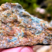 Granophyre