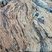 Corse - Piobetta - Gneiss