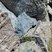 Corse - Vivario - Bocca Palmente - Granodiorite