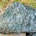Corse - Muracciole - Schistes bleus