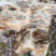 Granophyre