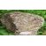 Troctolite