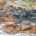 Filon de dolérite dans une granodiorite.