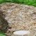 Troctolite