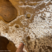 aragonite présente dans la grotte de Maxange