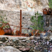 Corse - Ghisoni - Mine de La Finosa