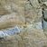 Filon dans Gneiss œillé, Gorges de l'Héric