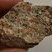Corse - Quenza - Granodiorite