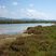 Vieux salins d'Hyères