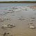 Lake Thetis, Western Australia