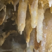 Illustration de la formation d'une stalactite monocristalline, à la grotte du Grand Roc