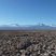 Salar de l'Atacama