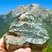 Corse - Muracciole - Schistes bleus