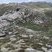 Corse - Aullène - Granodiorite à amphiboles