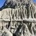 Figures d'érosions visibles dans les Badlands canadiennes