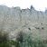 Tillites glaciaires(loess), Vallée de Kelowna
