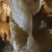 Formation d'une colonne/draperie, à la grotte du Grand Roc