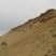 Fossil sand dunes, Cape Cod
