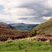 Lande de Ben Lawers (Ecosse)