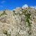 mylonites des rochers du Ruicard à la Roche-Bernard