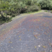 Corse - Osani - Anthracite