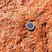 Granite rouge de Porto