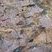 Corse - Tolla - Prunelli - Microgranite