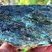 Serpentinite