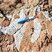 Quartz hydrothermal