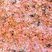 Granite rouge de Porto