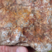 Corse - Zicavo - Micaschistes