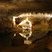 Stalactite dans la galerie du siphon - grottes de Choranche