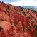 Conglomérat de Devils Kitchen, Utah