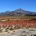 Volcan explosif du Tunupa