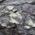 Serpentinite mélangée à des basaltes pillows lavas