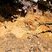 Saprolite