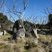 Kosciuszko National Park, New South Wales