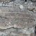 Pépérites du Puy de Crouel (aspect stratifié)