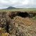 Tunnel de lave, Lanzarote (Îles Canaries)