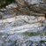 Gneiss migmatitique des gorges du Doux