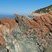 Corse - Cargèse - Golfe de Topiti - Serpentine & Rhyolite Alcaline