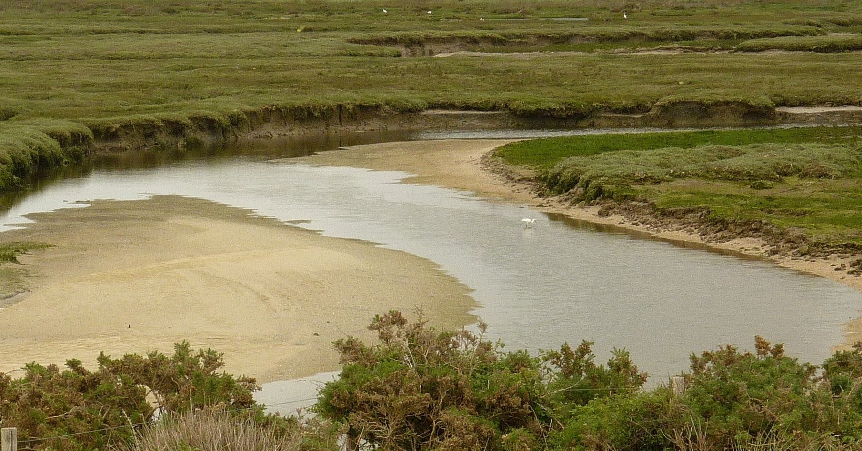 Le marais et la vasière de la 