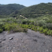 Corse - Osani - Anthracite